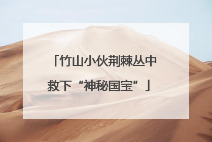 竹山小伙荆棘丛中救下“神秘国宝”