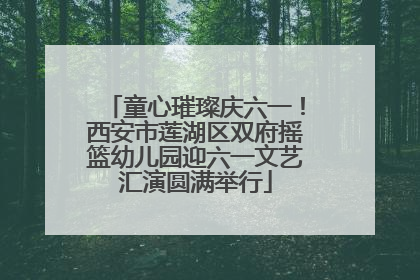 童心璀璨庆六一！西安市莲湖区双府摇篮幼儿园迎六一文艺汇演圆满举行