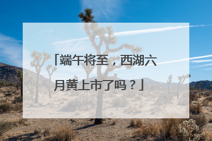 端午将至，西湖六月黄上市了吗？