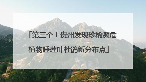 第三个！贵州发现珍稀濒危植物睡莲叶杜鹃新分布点