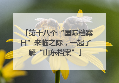 第十八个“国际档案日”来临之际，一起了解“山东档案”