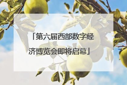 第六届西部数字经济博览会即将启幕