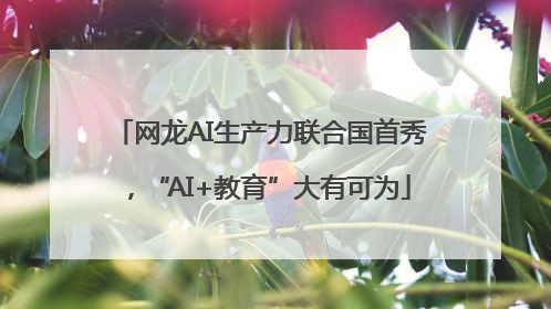 网龙AI生产力联合国首秀，“AI+教育”大有可为