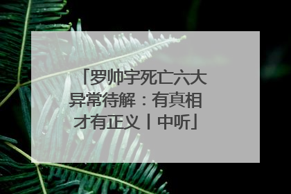 罗帅宇死亡六大异常待解：有真相才有正义丨中听