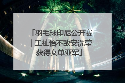 羽毛球印尼公开赛｜王祉怡不敌安洗莹 获得女单亚军