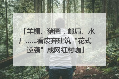 羊棚、猪圈,邮局、水厂……看废弃建筑“花式逆袭”成网红村咖
