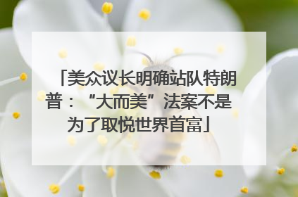 美众议长明确站队特朗普：“大而美”法案不是为了取悦世界首富