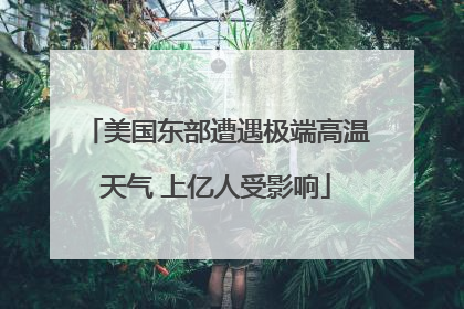 美国东部遭遇极端高温天气 上亿人受影响