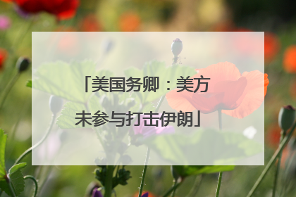 美国务卿：美方未参与打击伊朗