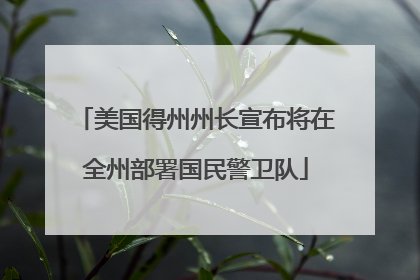 美国得州州长宣布将在全州部署国民警卫队
