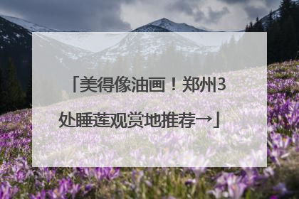 美得像油画！郑州3处睡莲观赏地推荐→