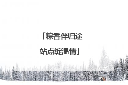 粽香伴归途 站点绽温情