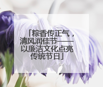 粽香传正气，清风润佳节——以廉洁文化点亮传统节日