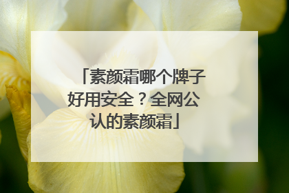素颜霜哪个牌子好用安全？全网公认的素颜霜