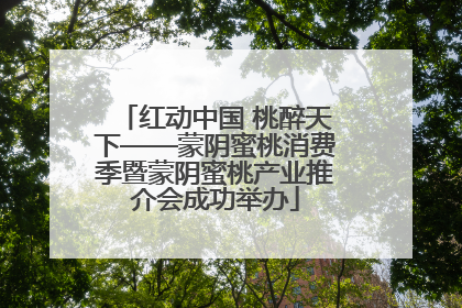 红动中国 桃醉天下——蒙阴蜜桃消费季暨蒙阴蜜桃产业推介会成功举办