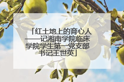 红土地上的育心人——记湘南学院临床学院学生第一党支部书记王世英