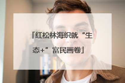 红松林海织就“生态+”富民画卷