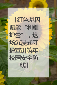 红色基因赋能“利剑护蕾”，这场沉浸式守护宣讲筑牢校园安全防线