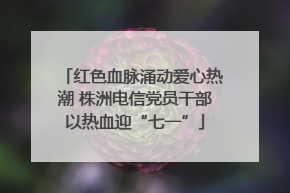 红色血脉涌动爱心热潮 株洲电信党员干部以热血迎“七一”
