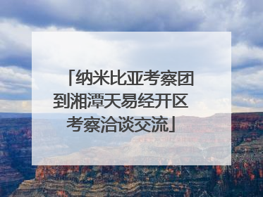 纳米比亚考察团到湘潭天易经开区考察洽谈交流