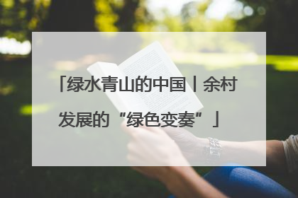 绿水青山的中国丨余村发展的“绿色变奏”
