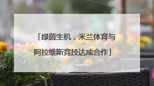 绿茵生机，米兰体育与阿拉维斯竞技达成合作