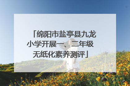 绵阳市盐亭县九龙小学开展一、二年级无纸化素养测评