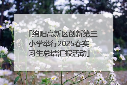 绵阳高新区创新第三小学举行2025春实习生总结汇报活动