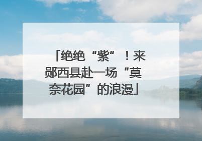 绝绝“紫”！来郧西县赴一场“莫奈花园”的浪漫