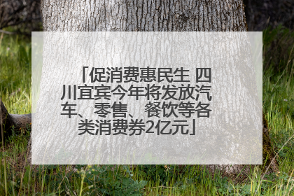 促消费惠民生 四川宜宾今年将发放汽车、零售、餐饮等各类消费券2亿元