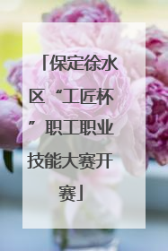 保定徐水区“工匠杯”职工职业技能大赛开赛