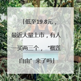 低至19.8元，最近大量上市，有人一买两三个，“榴莲自由”来了吗