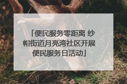 便民服务零距离 纱帽街道月亮湾社区开展便民服务日活动