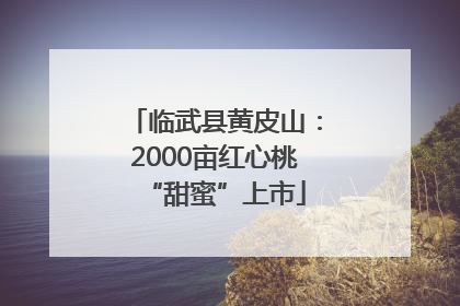 临武县黄皮山：2000亩红心桃“甜蜜”上市