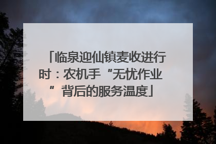 临泉迎仙镇麦收进行时：农机手“无忧作业”背后的服务温度