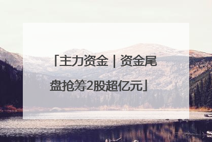 主力资金｜资金尾盘抢筹2股超亿元