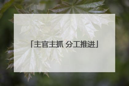 主官主抓 分工推进