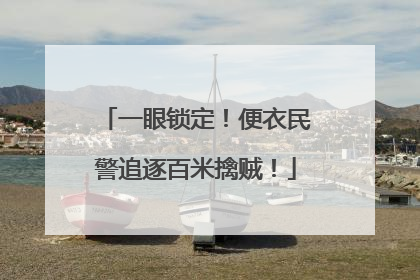 一眼锁定！便衣民警追逐百米擒贼！