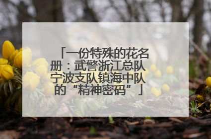一份特殊的花名册：武警浙江总队宁波支队镇海中队的“精神密码”
