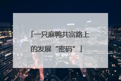 一只麻鸭共富路上的发展“密码”