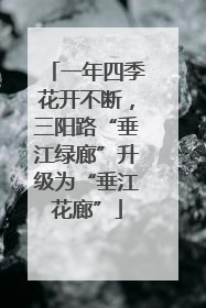 一年四季花开不断，三阳路“垂江绿廊”升级为“垂江花廊”