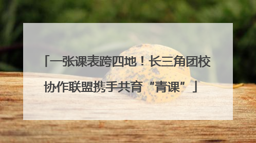 一张课表跨四地！长三角团校协作联盟携手共育“青课”
