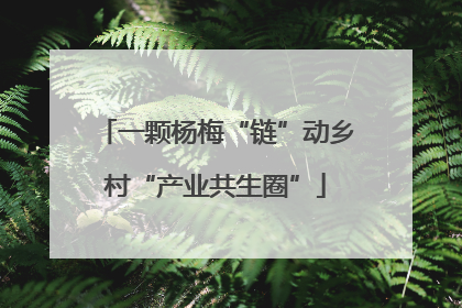 一颗杨梅“链”动乡村“产业共生圈”