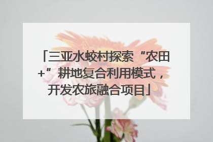三亚水蛟村探索“农田+”耕地复合利用模式，开发农旅融合项目