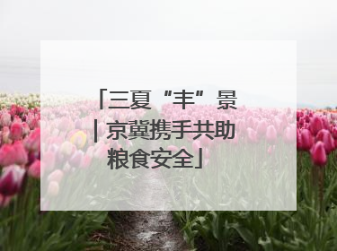 三夏“丰”景｜京冀携手共助粮食安全