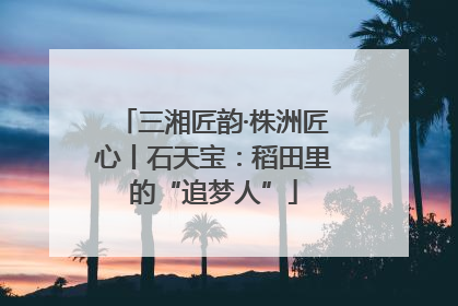 三湘匠韵·株洲匠心丨石天宝：稻田里的“追梦人”