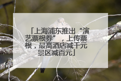 上海浦东推出“演艺票根券”，上传票根，最高酒店减千元景区减百元