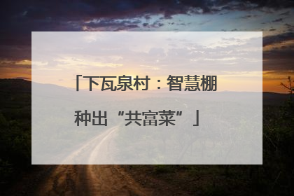 下瓦泉村：智慧棚种出“共富菜”