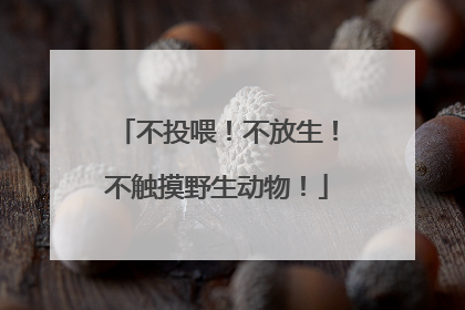 不投喂！不放生！不触摸野生动物！