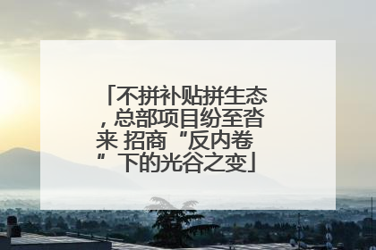 不拼补贴拼生态，总部项目纷至沓来 招商“反内卷”下的光谷之变